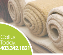 Carpet Cleaners Red Deer